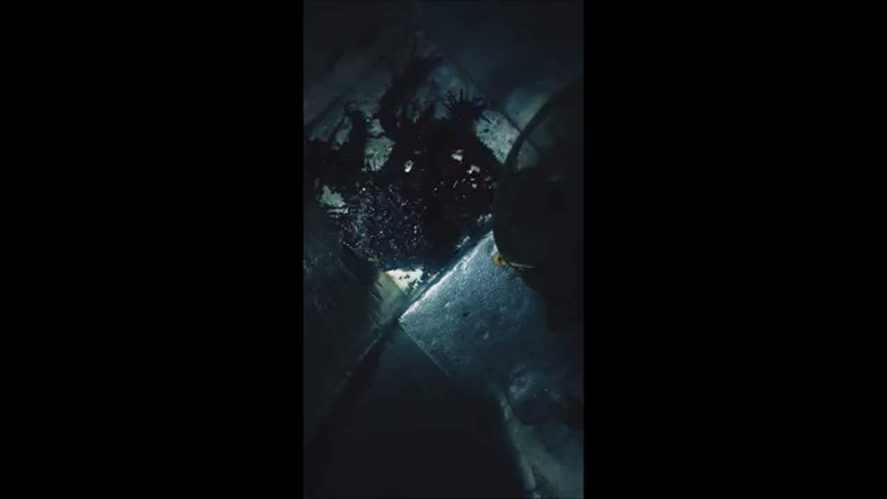 BREAKING NEWS:⛔️The guy with the alien in Panama just announced that tomorrow he will kill him