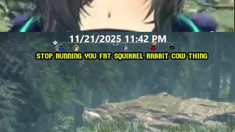 Chasing the Chubby Squirrel! 😂