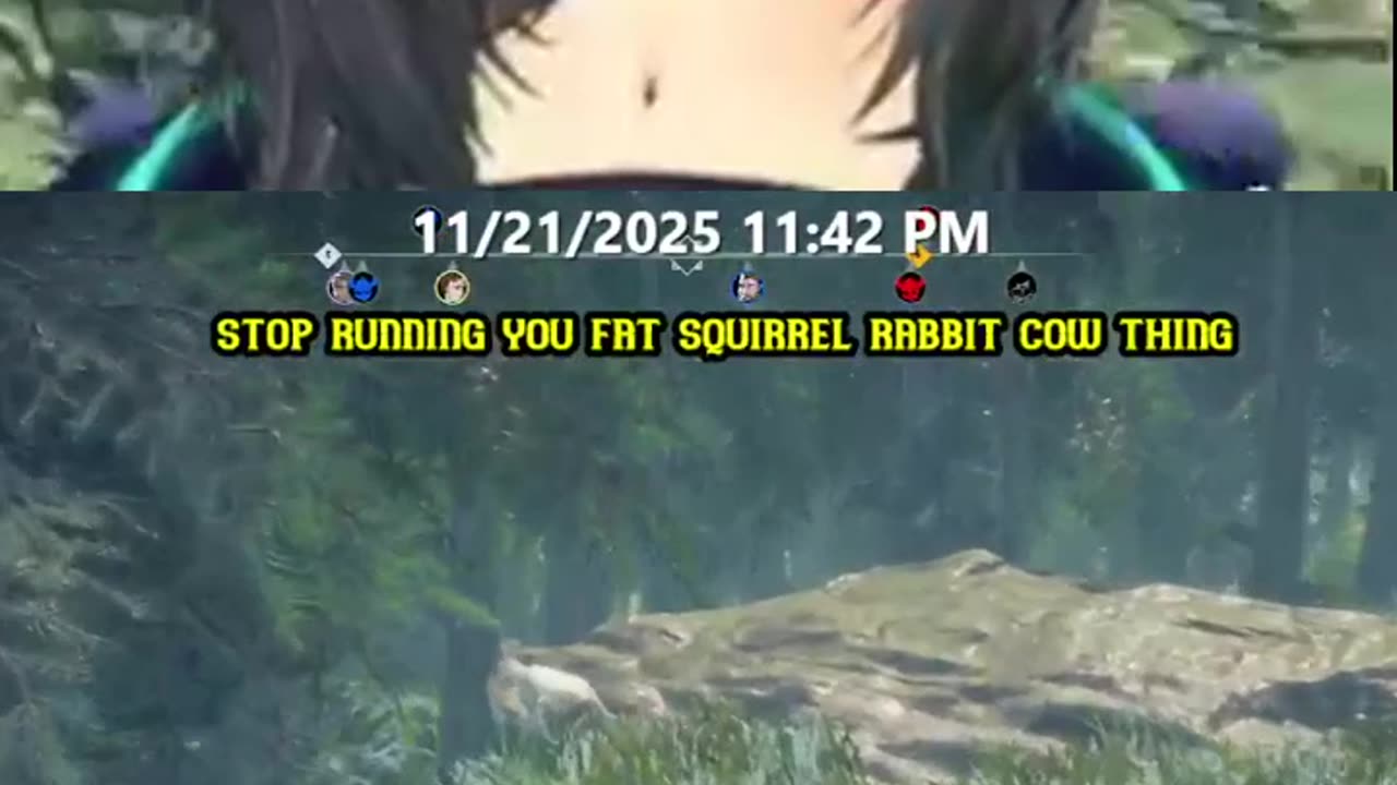 Chasing the Chubby Squirrel! 😂