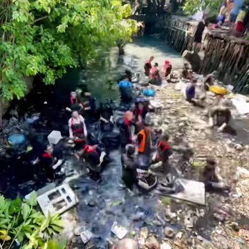 Protect the environment - protect the Earth (Part 2)