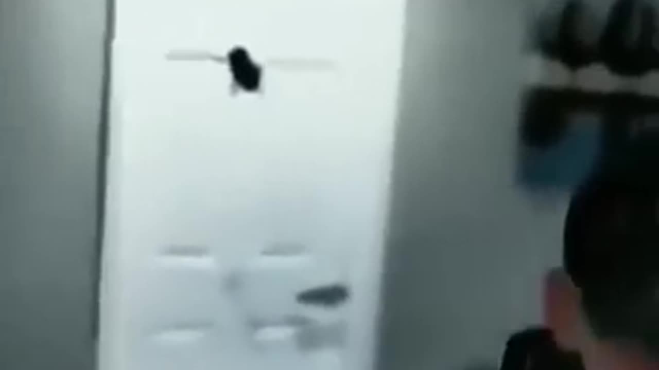 Memes 8