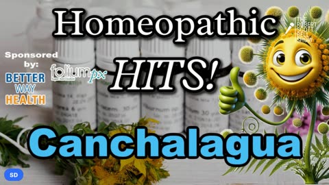 Near-Death Experience Study, Bhattacharya’s Gov. Trust, Glyphosate-Liver, Sarah Westall, The Take Down Act - The RSB Show 5-6-25