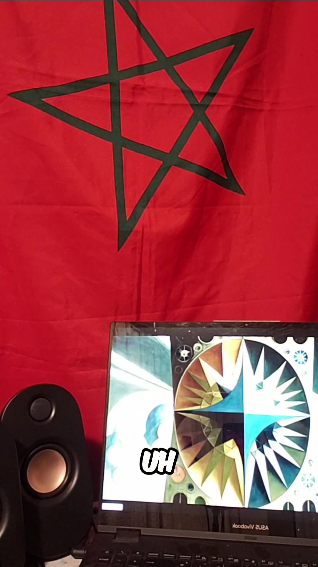 US School Shooter Mode: Desperate Violence & Western Collapse?!