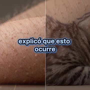 ¿Qué provoca que se nos erice la piel?