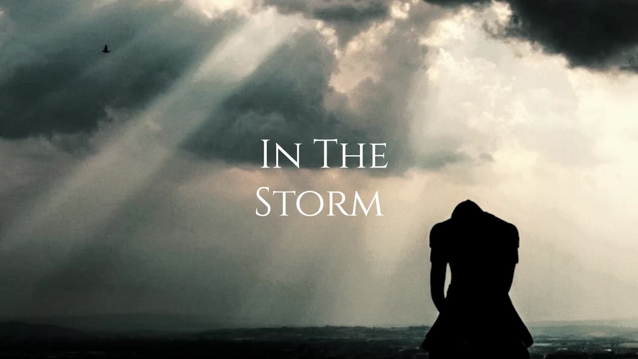 minomix - In the Storm