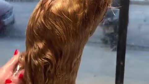 😂🐶 Everyone Loves a Spa Day! | FunFM