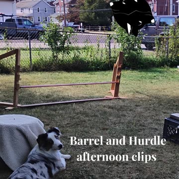 Circuit Training and Practice afternoon shorts 3