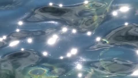 Daily Horoscope | Aquarius 🌟