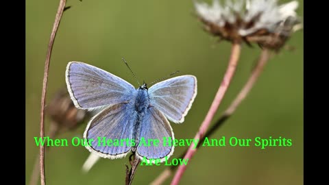 You Are Not Alone | Comforting Psalm Meditation for Troubled Hearts
