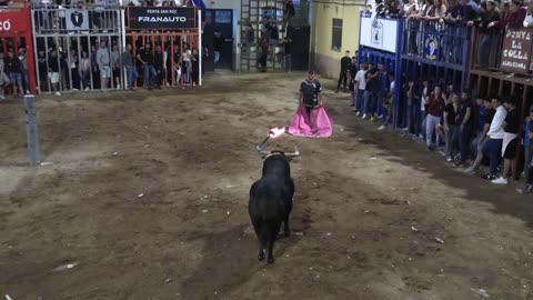 TOROS EMBOLADOS 24 mayo FIESTAS SANTA QUITERIA 2025
