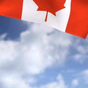 Tim Rifat TikTok Videos