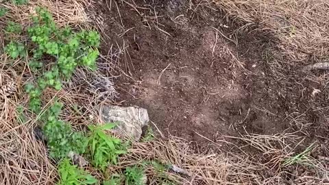 Discoveries in nature