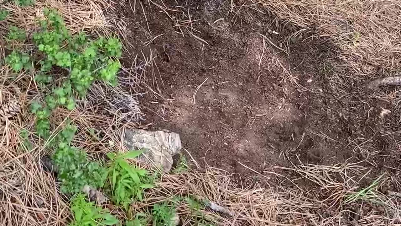 Discoveries in nature