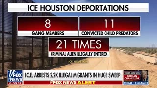 Major ICE operation in Houston netted 142 illegals arrested and deported