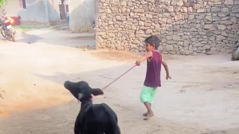 छोटे बच्चे की मजेडार कॉमेडी