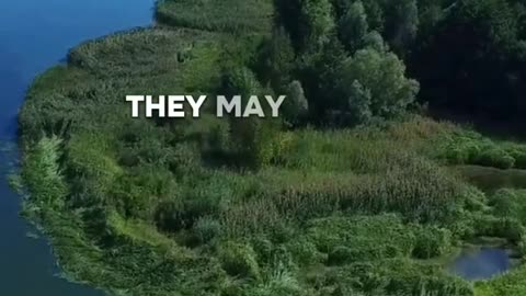 #bible #Leviticus 22 : Are we the one being influenced or influencing the world?