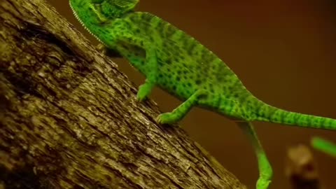 Aries sees through everyone - and they're not saying a word