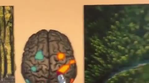 The fascinating truth about writing with your right hand. 🔥