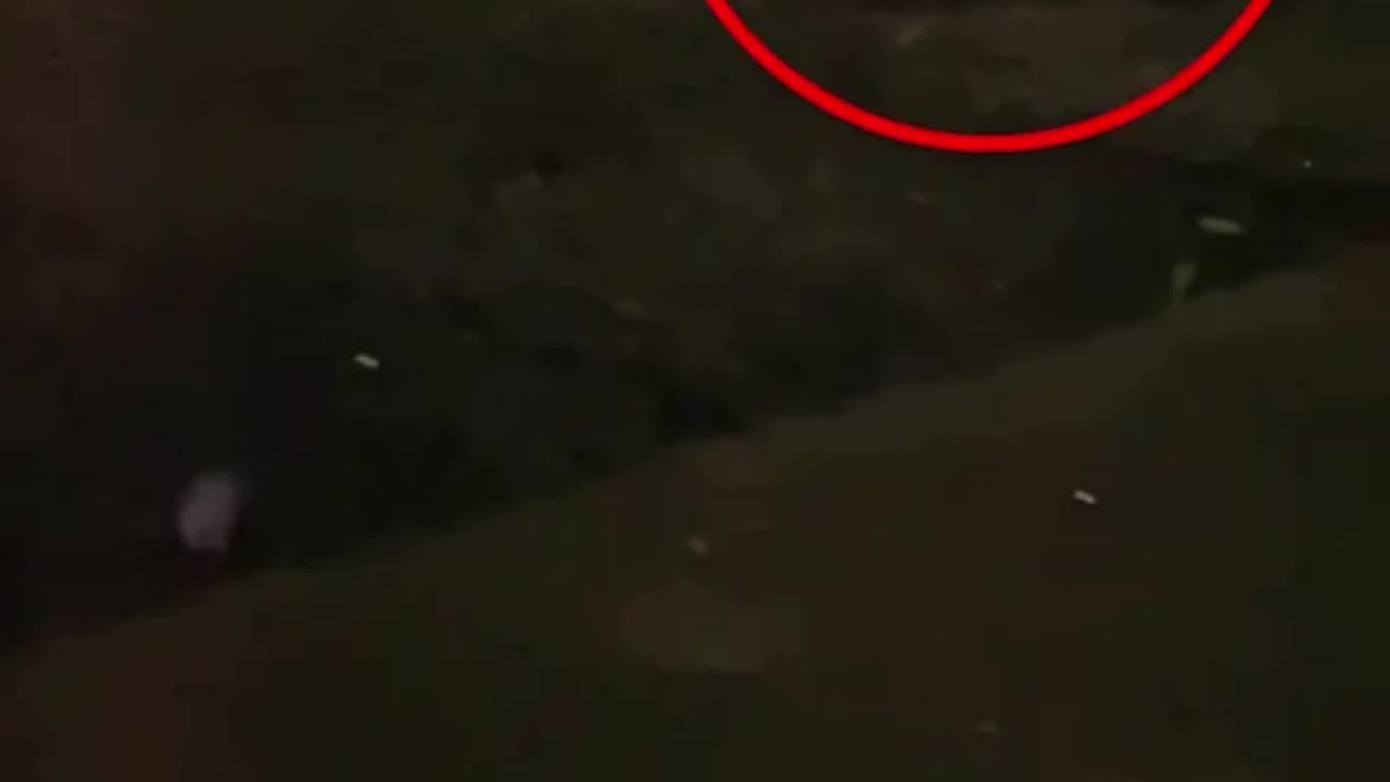 Chupacabra Caught on Camera in Pueblo, Colorado! 👀