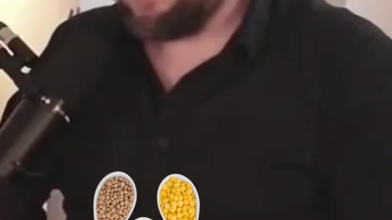 NEDOBROVOLNÝ CELIBÁT - MŮJ NÁZOR