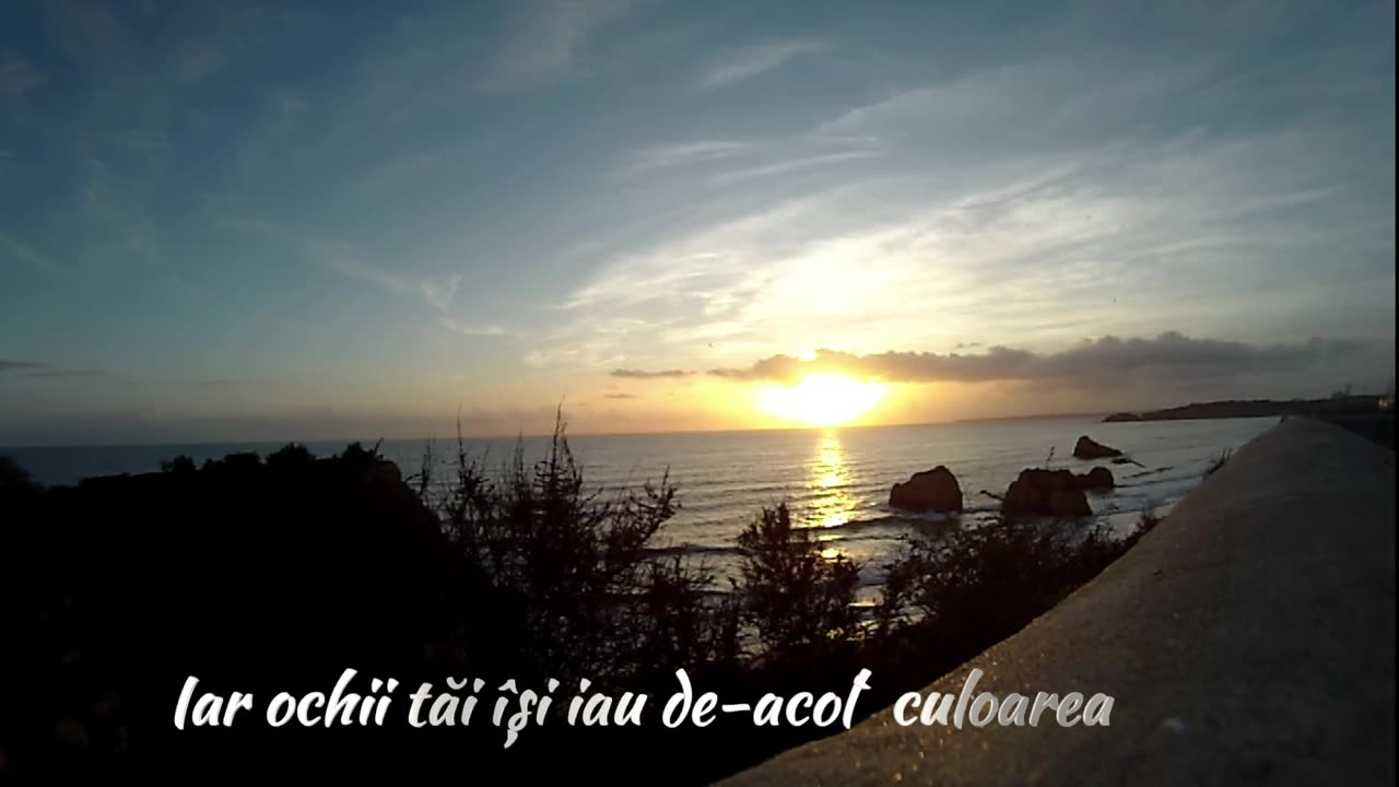 Dănilă Mureșianu - (Re)Naștere