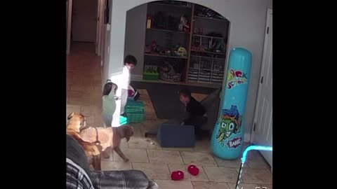 Parkour Kid Takes Out Baby Gate