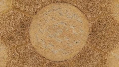 Crop Circle - Kingsdon, Somerset - 15 juin 2025 - 4K