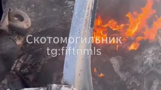 Insurance premiums will probably go up.