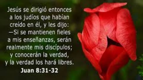 “La verdad os hará libres” Juan 8: 3 1 al 47_Devocional .