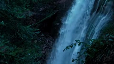 Aesthetic nature