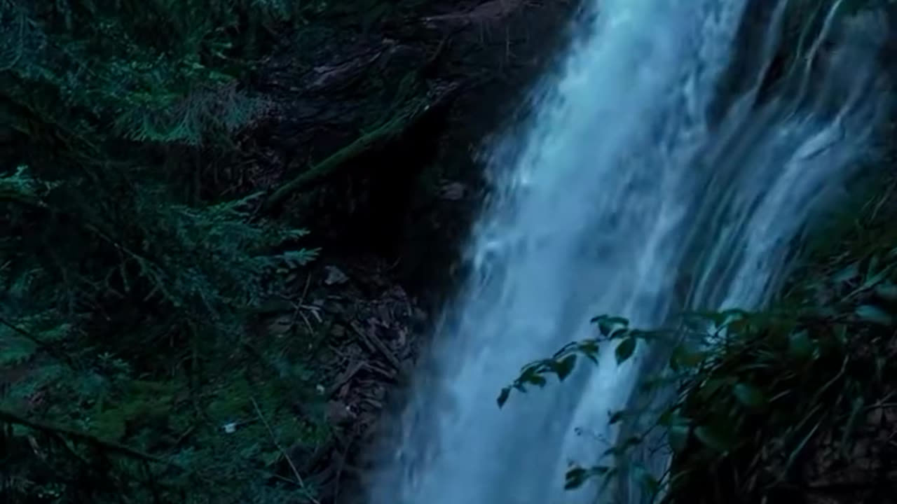 Aesthetic nature