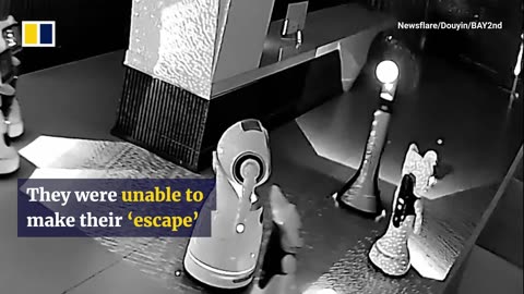 🤖✨ Wait Until You See This Little Robot Convince Others! | FeedMyCuriosity