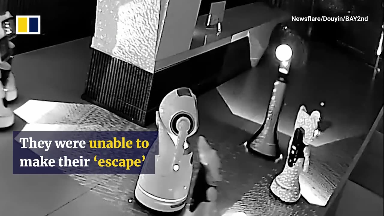 🤖✨ Wait Until You See This Little Robot Convince Others! | FeedMyCuriosity