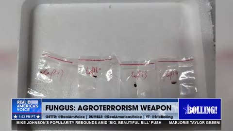 CHINESE NATIONAL COUPLE CAUGHT TRYING TO SMUGGLE IN AGROWEAPON