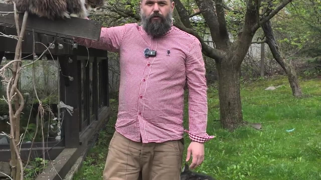 Русия обяви великденско примирие - Димна завеса, 19.04.2025 г