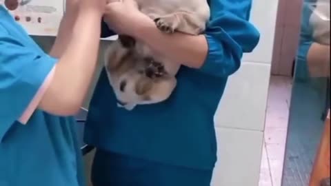 ۱