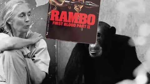 The Gombe Chimpanzee War: The day Planet of Apes almost became a reality