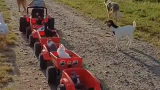 🐶😂 This Guy's Playtime is EVERYTHING! | FunFM