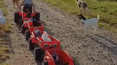 🐶😂 This Guy's Playtime is EVERYTHING! | FunFM