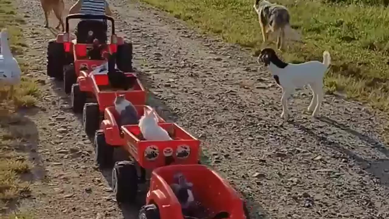 🐶😂 This Guy's Playtime is EVERYTHING! | FunFM