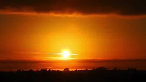 Nature video #samar good morning 🌞
