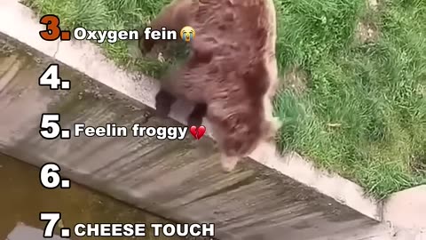funny anims