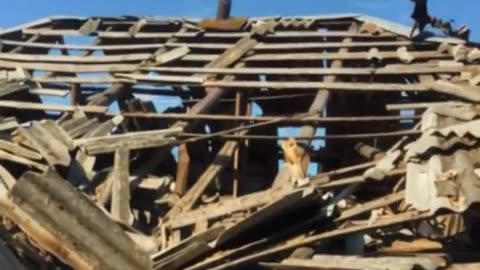 🏚️💥 Ukraine Russia War | KAB Strike Destroys Civilian Home in Sumy Region | RCF