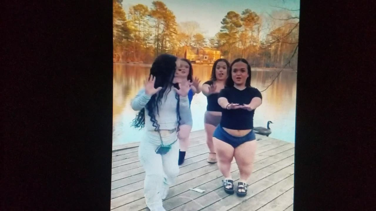 🦆 bot Dream Dance Team 🤣😂