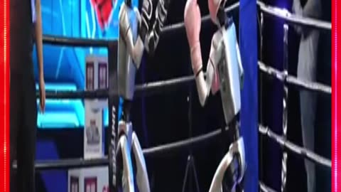 Video: China's first humanoid robot boxing match