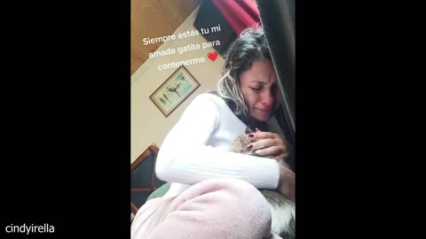 When You Own the SOFTEST-SOUL Cat in the World