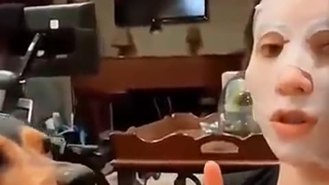 new funny pets