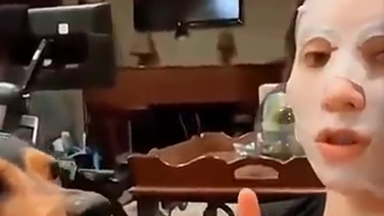 new funny pets