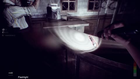 Panicore Return to the Asylum