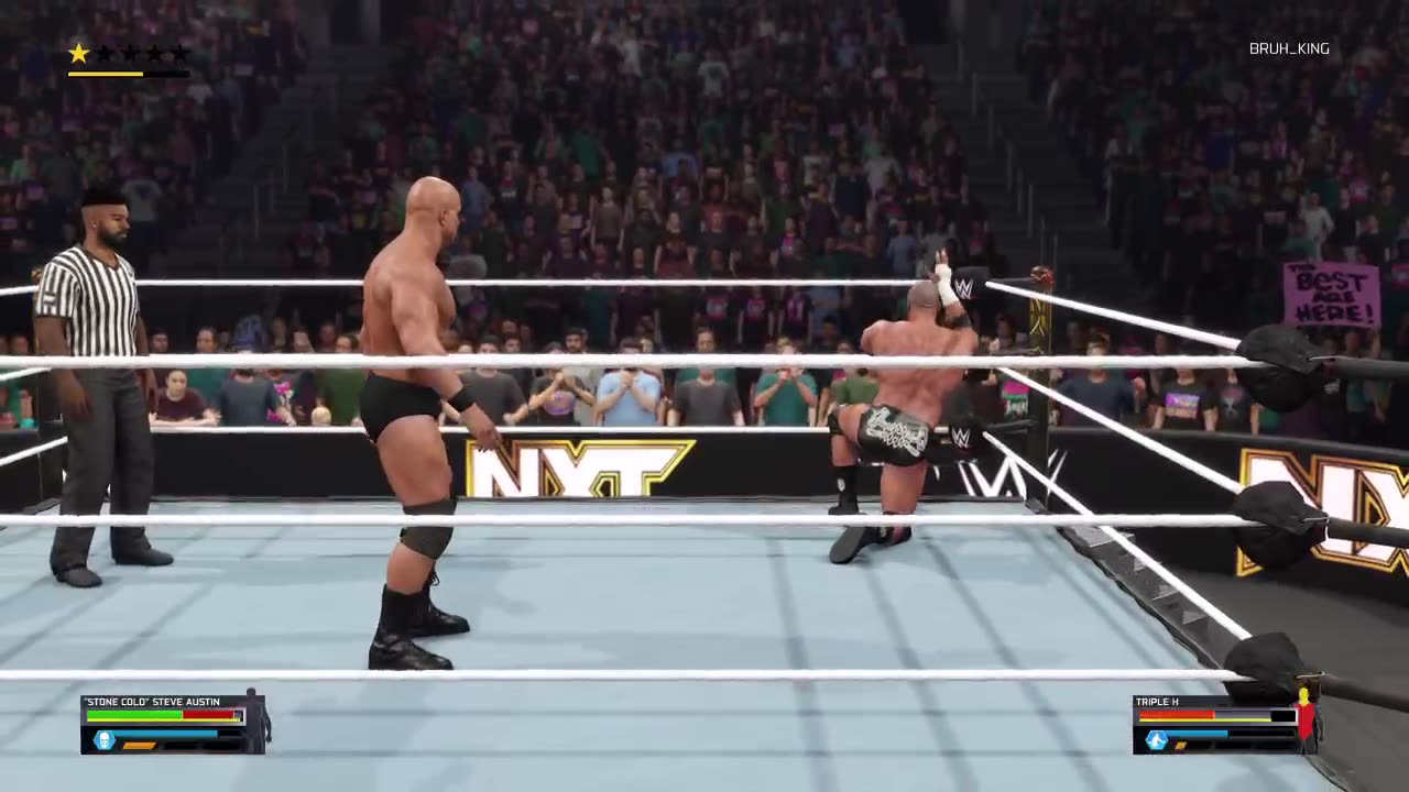 Steve Austin vs Triple H